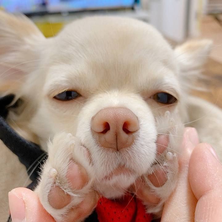 152bcc3f 2cbe 42b4 ad7c ecf2d16e14e3 1610058427956