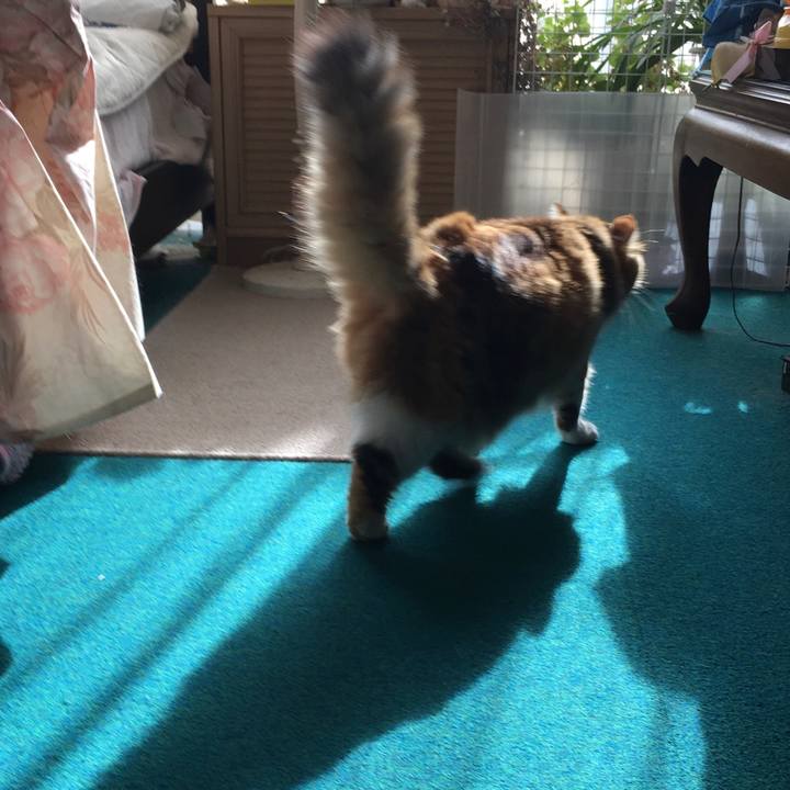 152bf335 605f 4742 b9df 9ac1fa28e37b 1572243810307