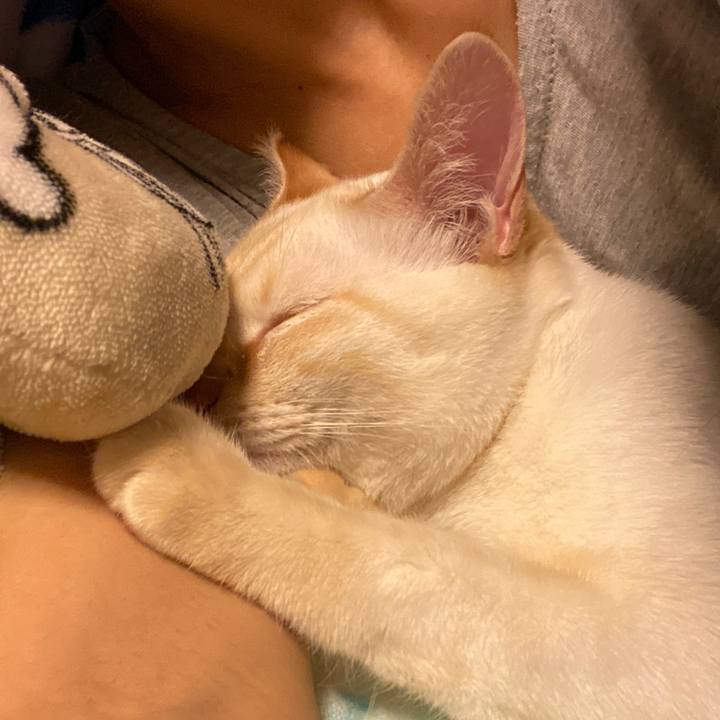 152c03cf bd33 4be5 bdc9 a5e4a22ae808 1585370526299