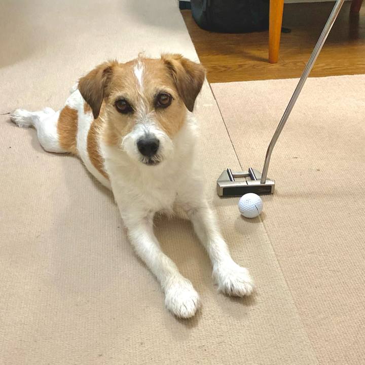 152c28e5 1193 483b 84d1 0cec67534e86 1686642339206