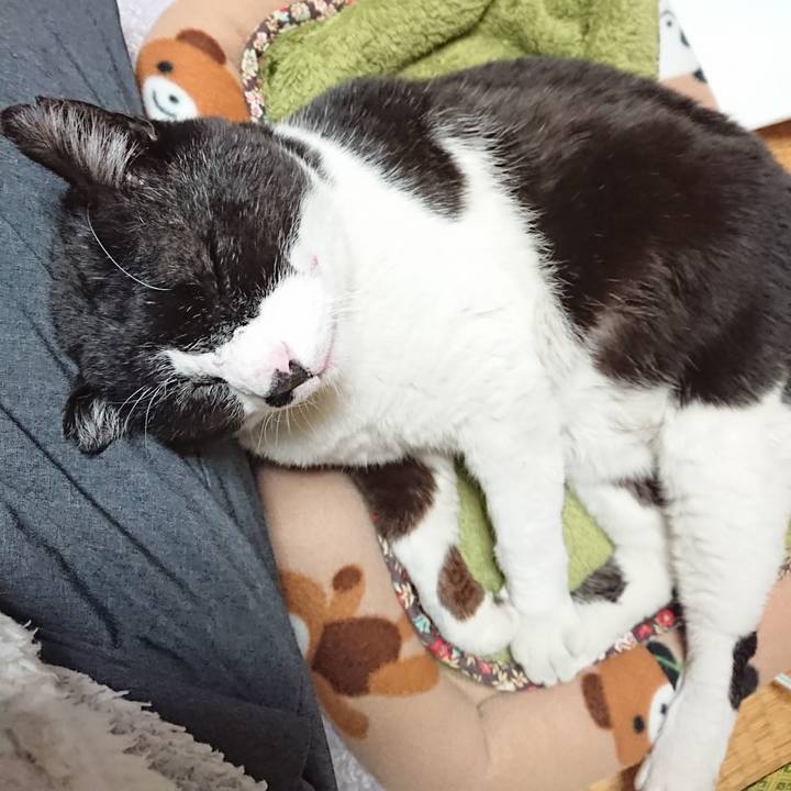 152c55b3 1896 43d8 b7bb c1453c6c6fb8 1612523364219