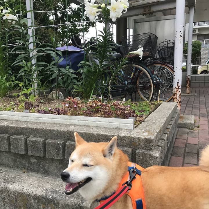 152c58ec 1d12 4623 b01f 2c3c45f65c53 1528167895556