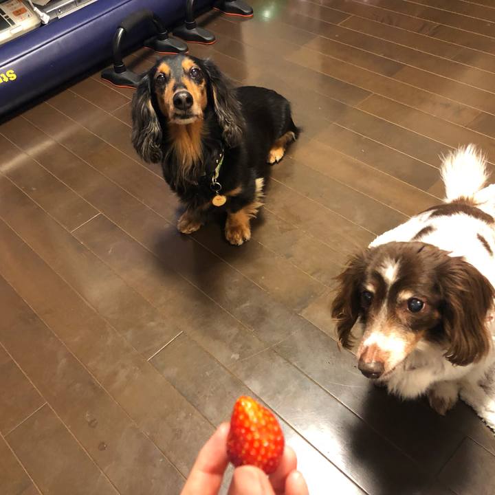 152c62f1 fee2 4829 b1b1 0ee9e37a76a6 1555076528096