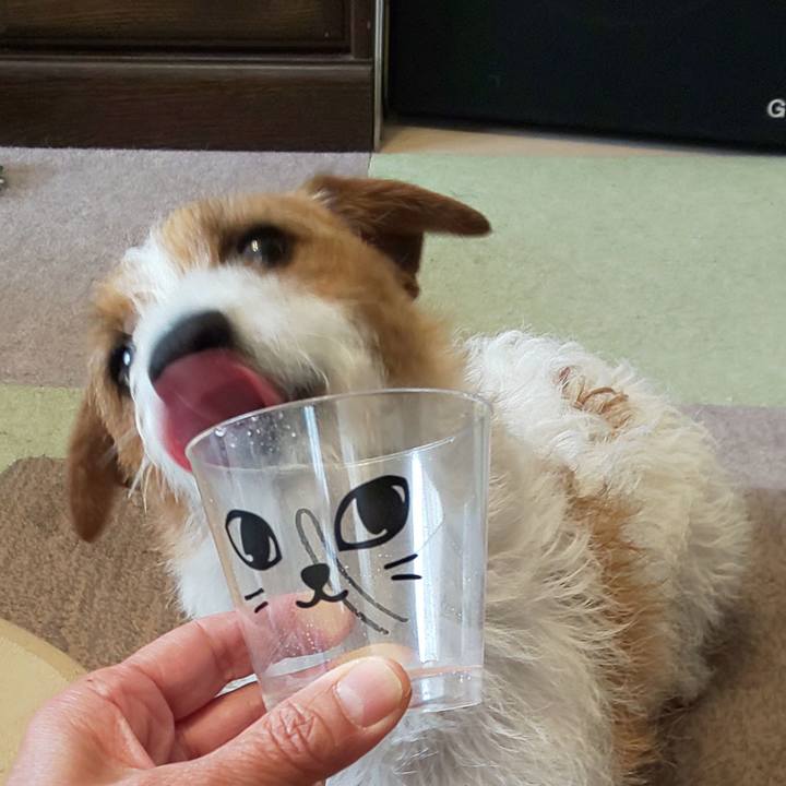 152c7e43 a2ac 466a b97f 3072f643c194 1555458429671