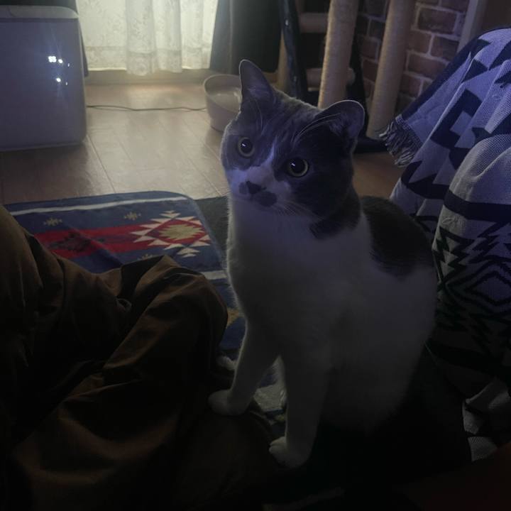 152c8925 0328 4c29 9366 814bc305ed66 1675985395361