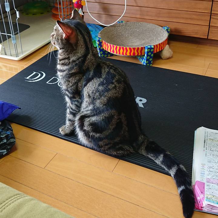 152ca3de d696 4413 a540 aa7c061b0824 1532481305100