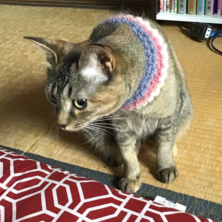 152ca89b 8c7e 4c56 8651 0762312ad561 1626212891585