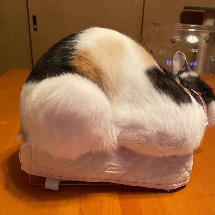 152cdbf4 a051 4d27 92a9 870f91927ac3 1732184545833