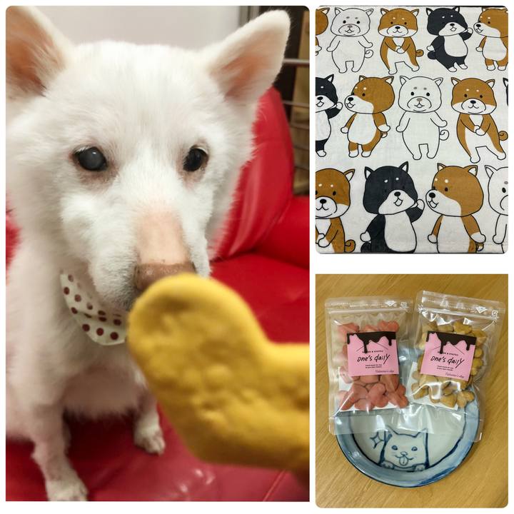 152d004d b6d5 4a27 9b09 5c0e0e1df9fc 1676379419713