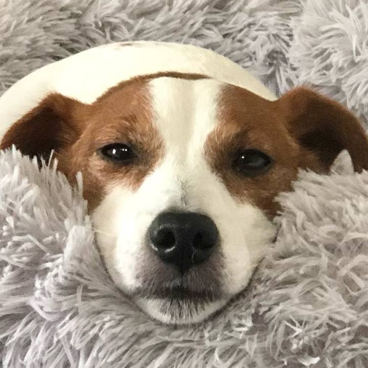 152d0468 da32 4105 99cb a83a3ed6ee23 1655116849606