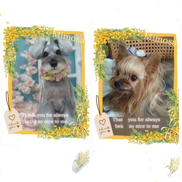 152db6f8 70b8 4c8c bba0 c06730d733f2 1741317884053