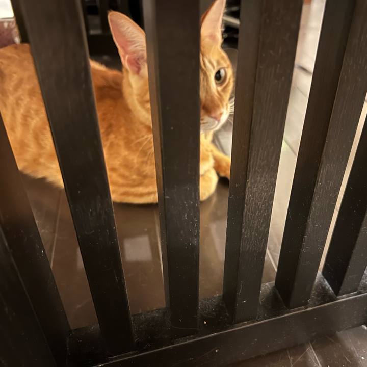 152dc197 2a2e 4044 8c07 2e519be6da54 1641617643645