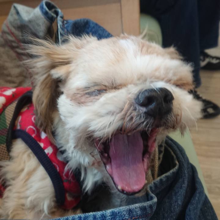 152df643 821f 4fcc a4f6 95e79758350e 1670835283195