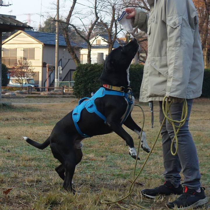 152e0b82 b51d 42a5 9af3 c2a03a715dcf 1607821127497