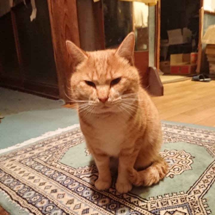 152e0f34 e1b8 4bee b778 f429c8a7cb5b 1577177331541