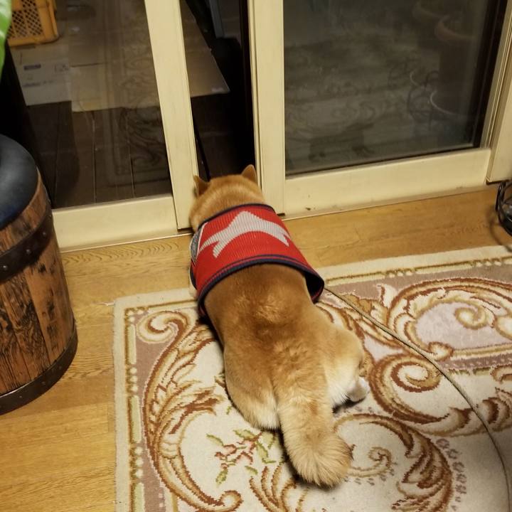 152e55b1 4829 4d86 ace7 44fbe8b1f0c8 1554806129473