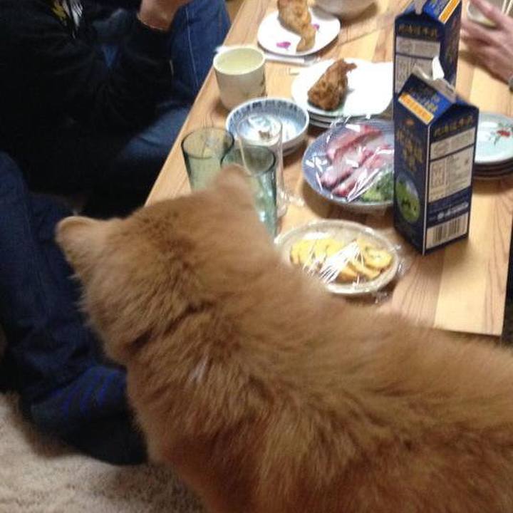 152ec3b8 db5a 4587 92fa aaa2568b94cb 1512638900749