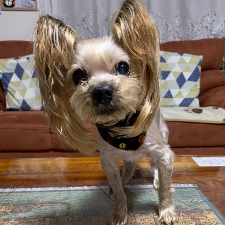 152f0180 9af9 4038 b5cd a7ef51c9678e 1645007720903