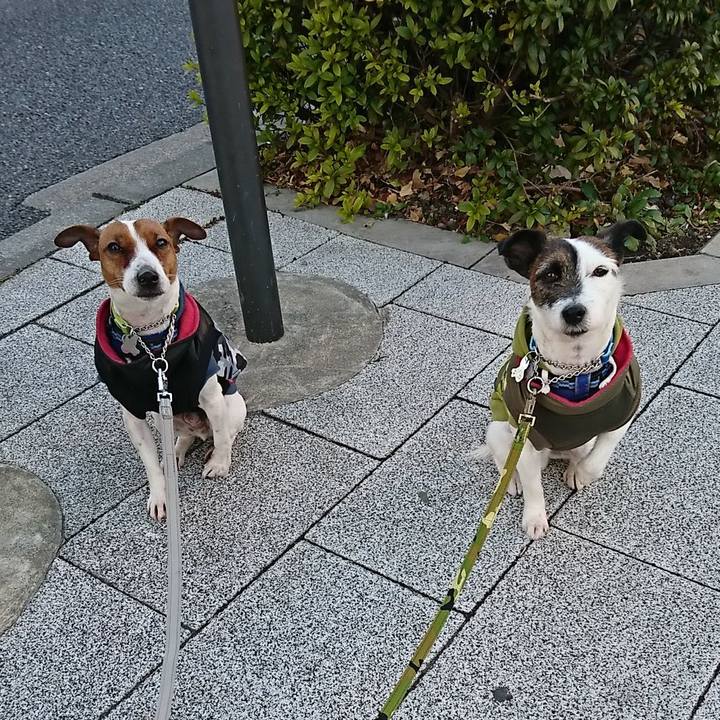 152f1bfb 1884 4398 8255 350a9222d799 1550441715862