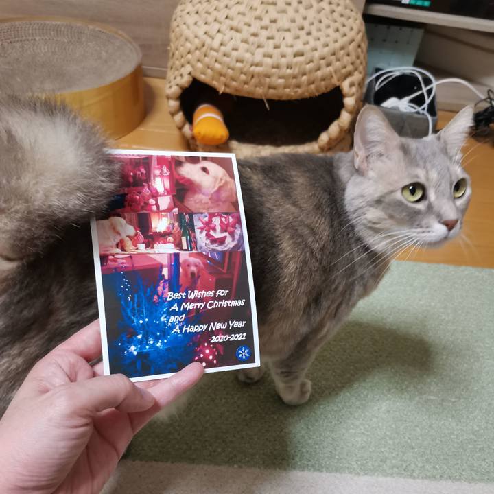 152f2ac4 f997 4304 ac8c f45beaf724df 1608991649289