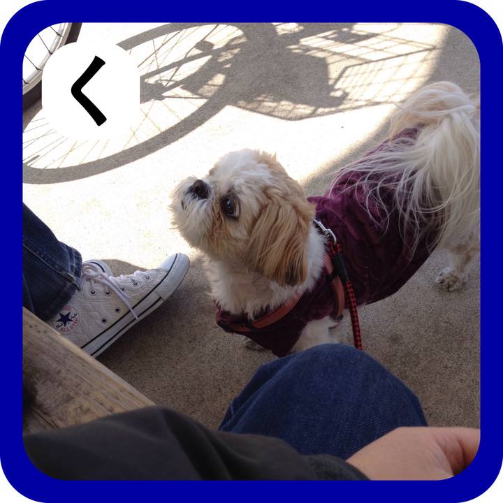 152f74c5 a6a3 4944 8fc8 7040de7413d2 1515072388812