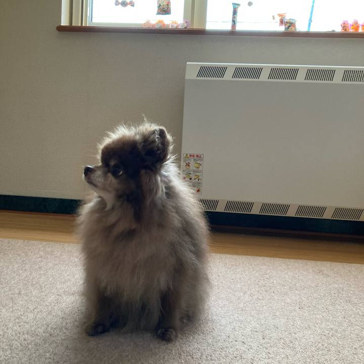 152faae9 1b3d 4760 8936 e693744eca69 1699141953085