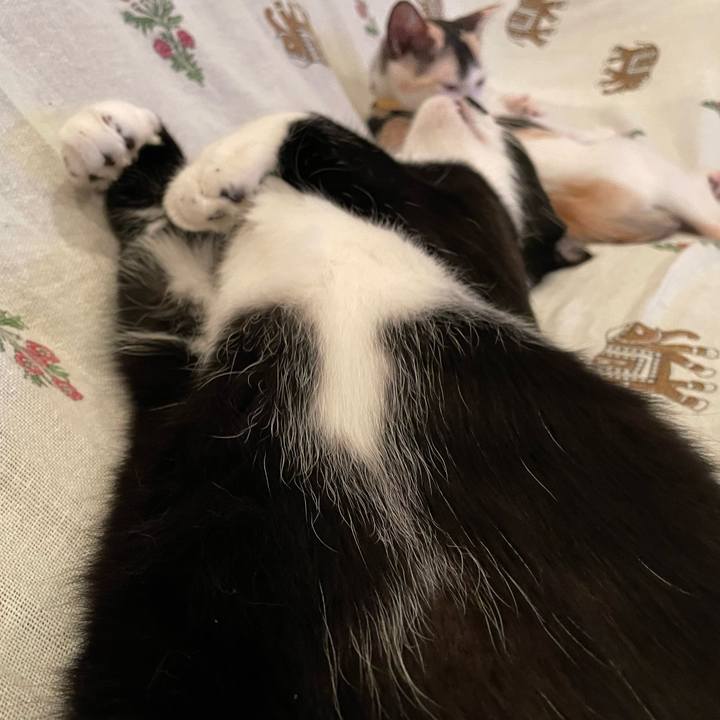 152ff315 86b8 40a2 bd9c a5dc05288e96 1660349054637