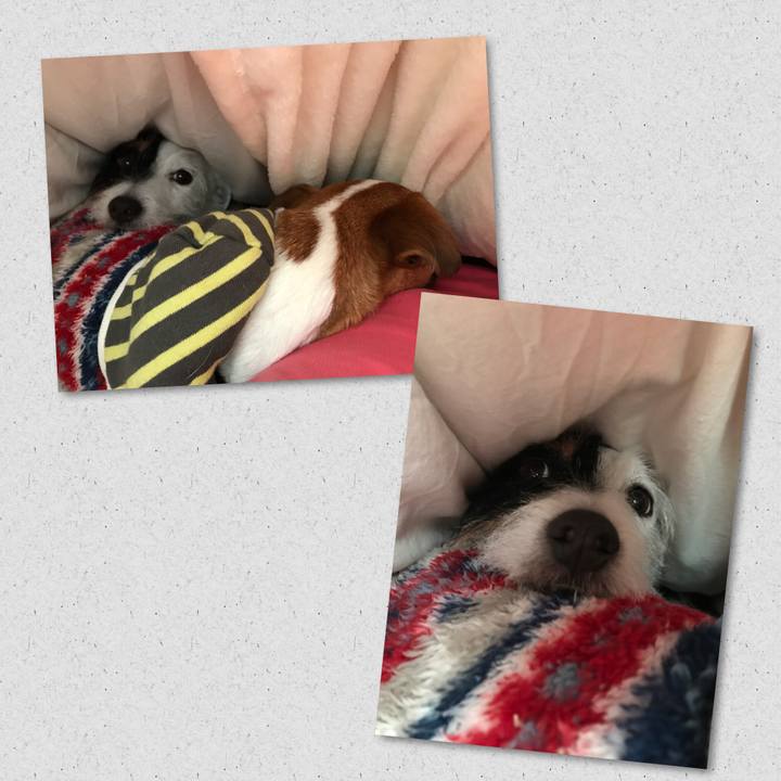 153006ec 6698 42bf b2b6 3c059d63105d 1515888201771