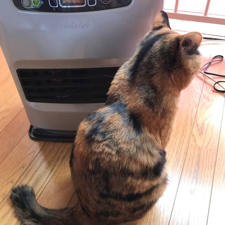 15301972 29ba 4d72 8a96 eb6b79d90941 1519046400242