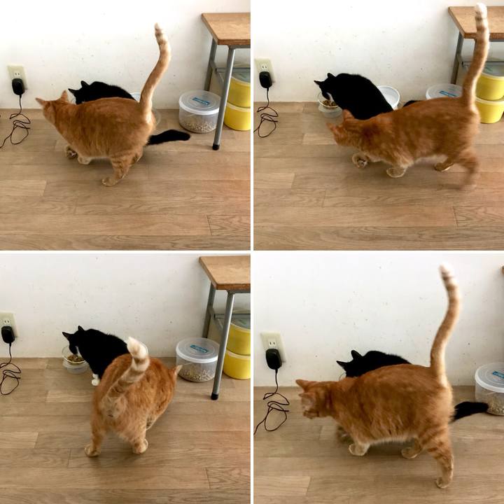 15302fe9 37dd 4c6c b91c 1a04f337df10 1532145185671