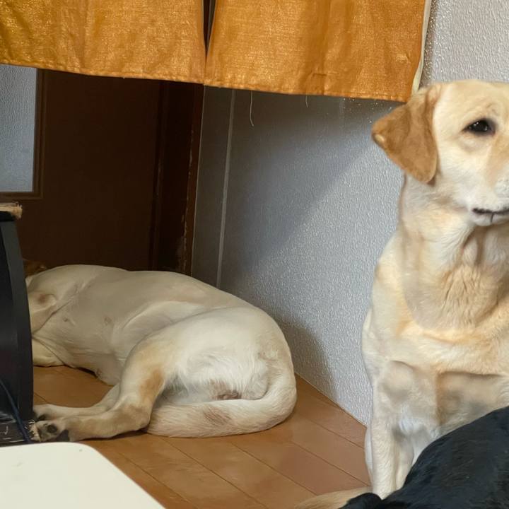 1530acae d98d 42df 8f8f 13fbbd8567ca 1649261268818