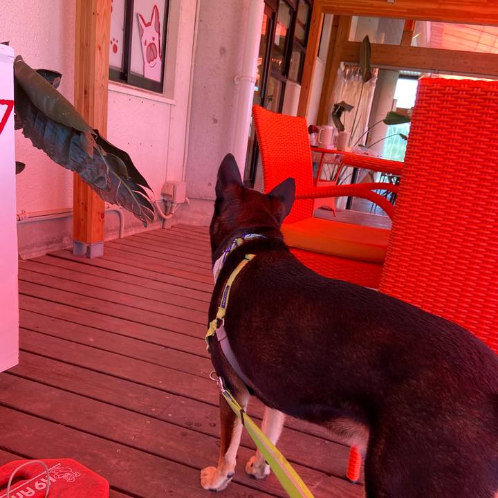 1530b05a f02b 446d a2a3 e102c8c50757 1624272299987