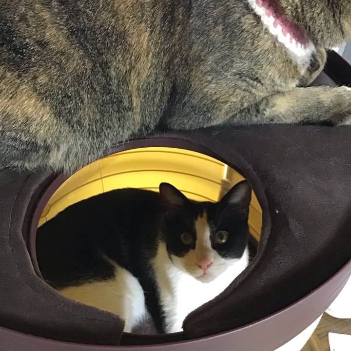 1530b93c bfbf 4d52 9b92 cdb8a5552a02 1653555704011