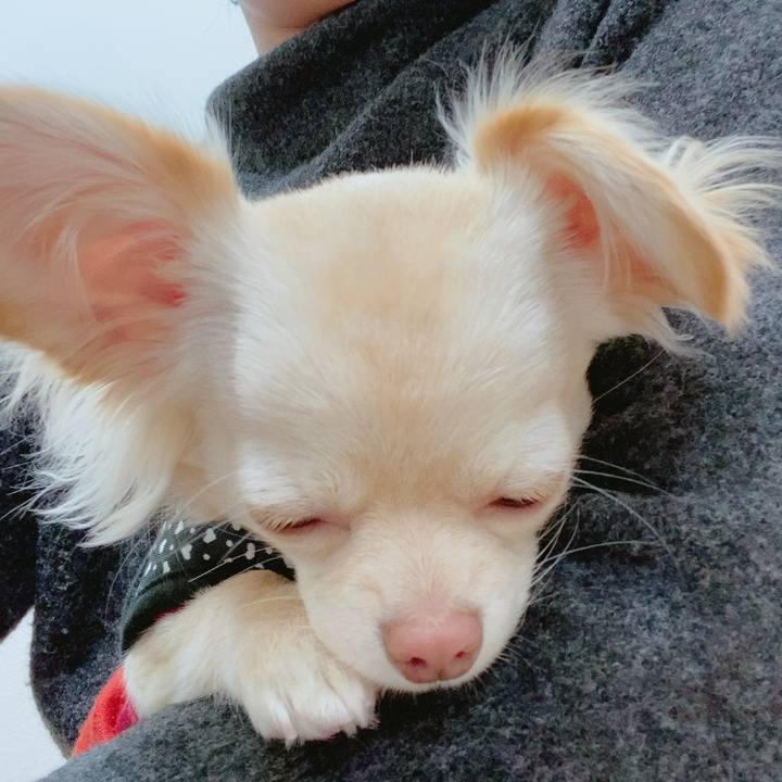 1530c988 b58d 408b 9766 013dc9900aa4 1609510843515