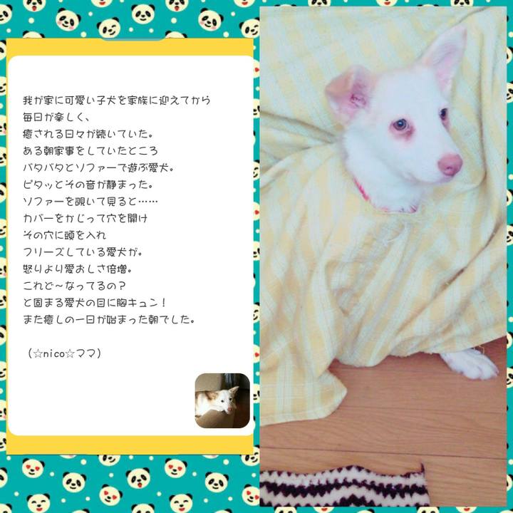 15310b9d f466 4dc9 a758 fbe09210ca76 1515111219845