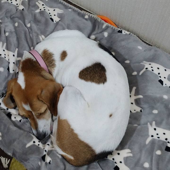 15312478 d198 4a46 93a0 870c38389469 1580562387502