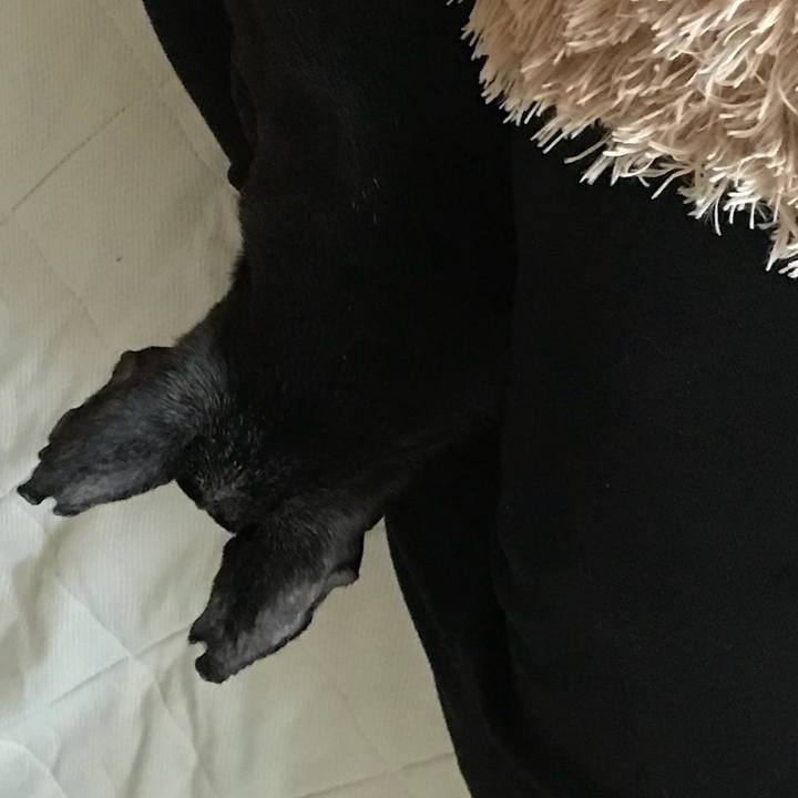 15315a9f ce85 432d a518 fa3d36698cf8 1557140617888