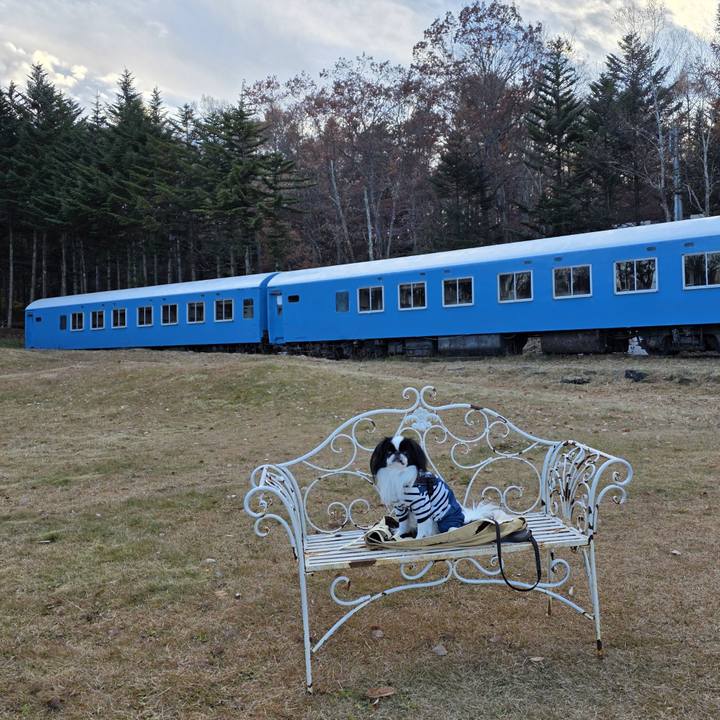 1531a696 172a 4d5b 8162 563e9da21232 1762942930955