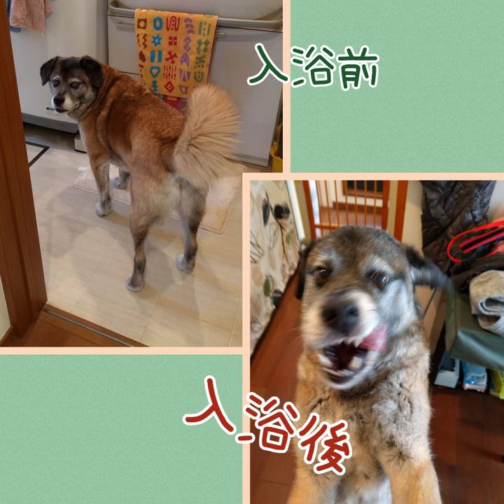 1531acd7 6c9b 4936 89d3 6964c1cdefda 1721694189851