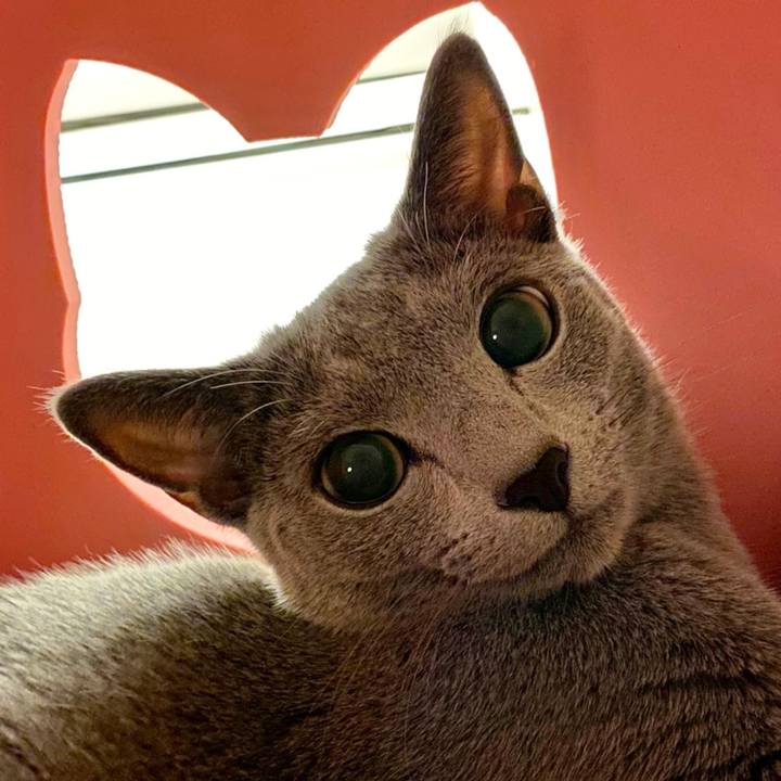 1531b6b7 84fd 4fae b376 4c712724a3e8 1628992708311