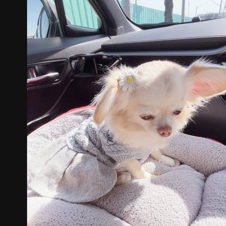 1531e373 b3c7 4aa0 a6a8 ab98ba6d852c 1739714074200