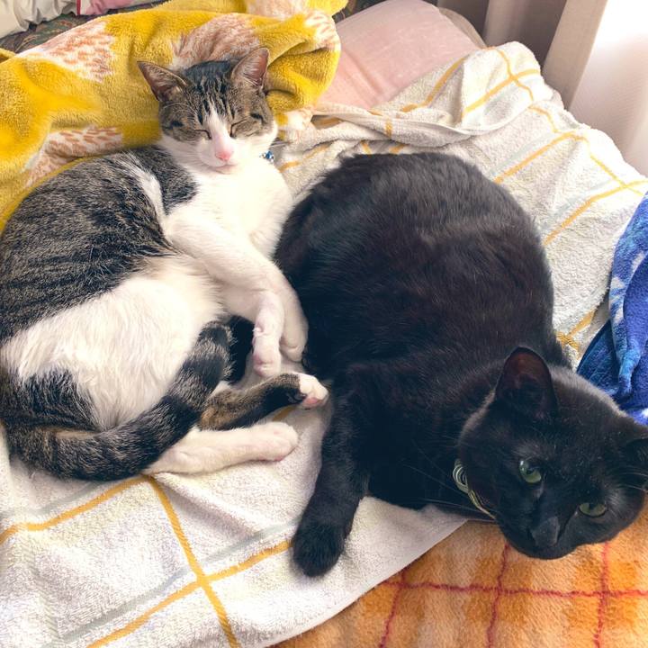 15320e5e cf60 4de0 8281 c0ff3a2ca5ce 1556959503217