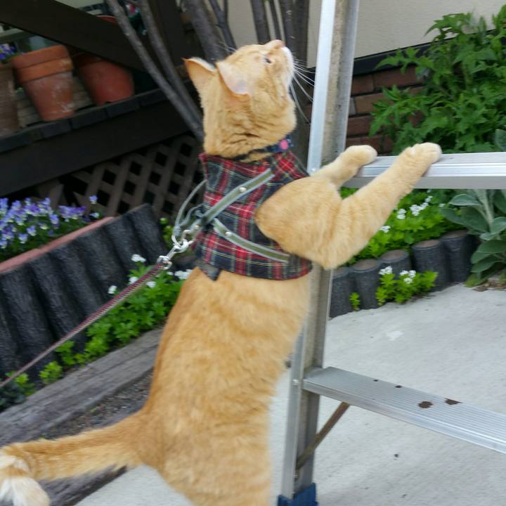 153211c3 fe6d 44a4 b7e4 b69bf97eb214 1524899589454