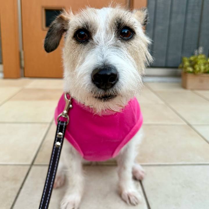 15322285 3d3d 42d7 9668 da0fba71f38f 1766003528211