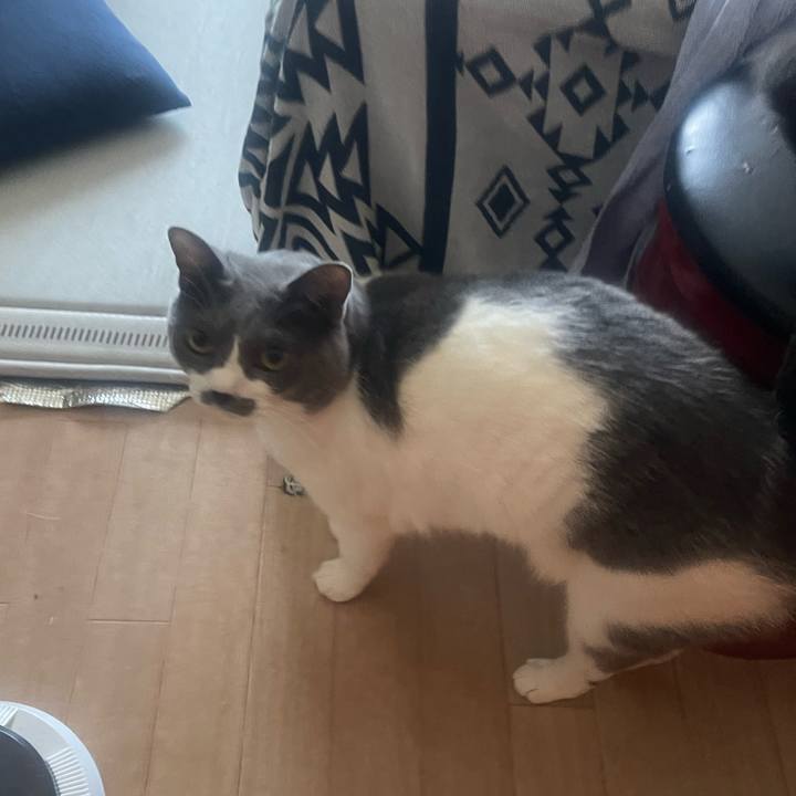 15322954 fd62 49d4 9c3f 4bea675b9236 1754177101349