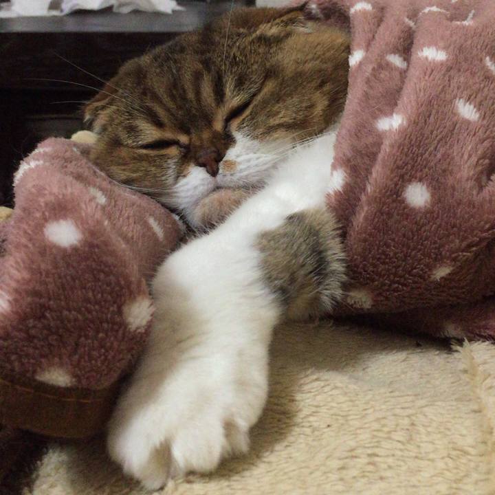 15325995 ae7e 4af7 b51a f8f3fb411918 1508246165074