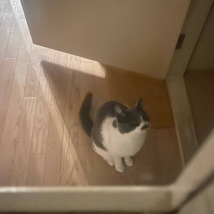 1532898a 0db1 4644 baaa 25da992041ed 1683626302033