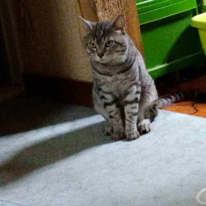 1532acb2 2bc4 4a34 a549 e2452bc51f8a 1634392594249