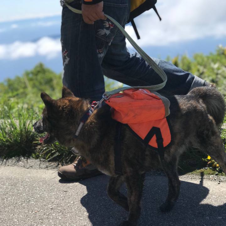 1532ad86 6c24 460f 80c8 720f1a89f7ee 1526817036119