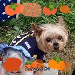 1532cf1f 520f 4524 b89c 9579d4b50a6b 1761695717530